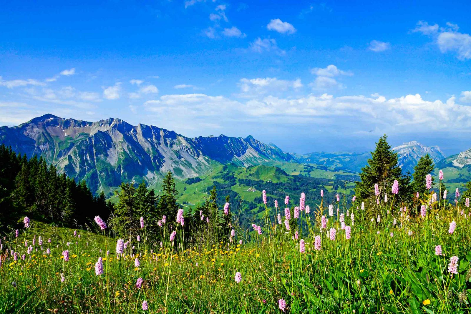 impressionen-gemeinde-fl-hli